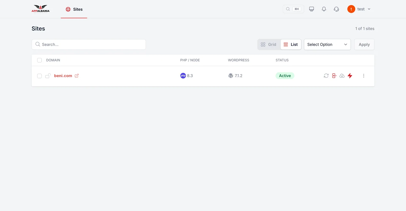 Sites list in the hosting panel with update actions